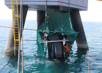 Coded welding on pile sleeve, sohar jetty, oman